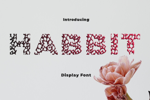 Habbit: An Elegant Display Font for Thoughtful Editorial Design